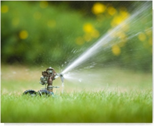 Sprinkler Shadow