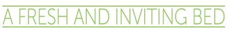 Inviting Bed Type