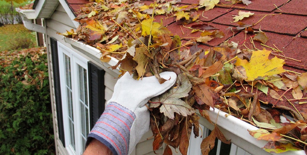 A gloved hand removes leaves from a gutter.